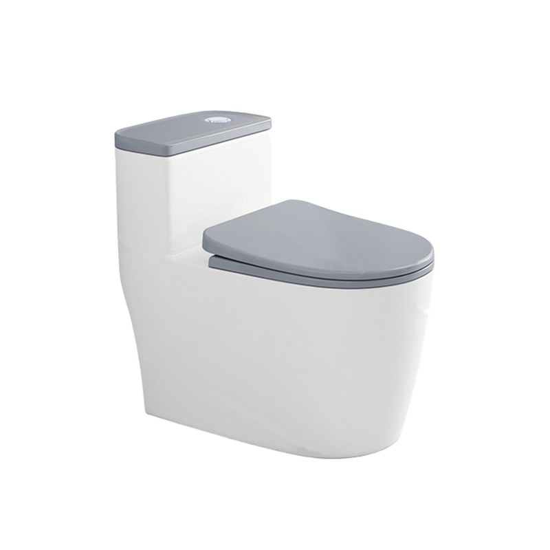 LT-1269-CG-LG white one-piece-toilets