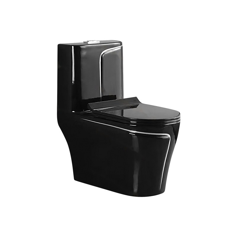 LT-1121-CG-BLSL black one-piece-toilets