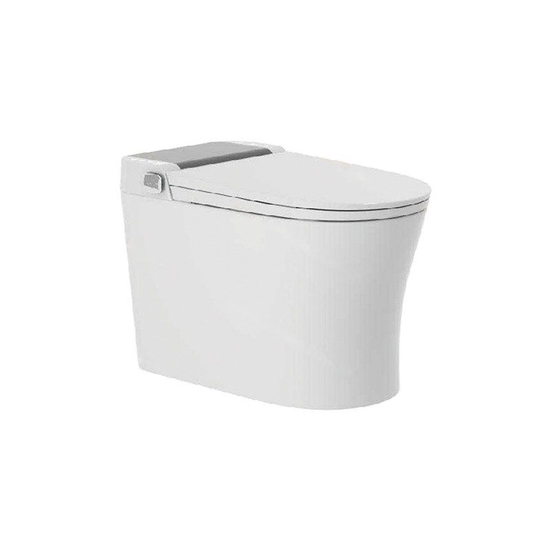 LT-TO-1025-WC-GG white smart-toilets