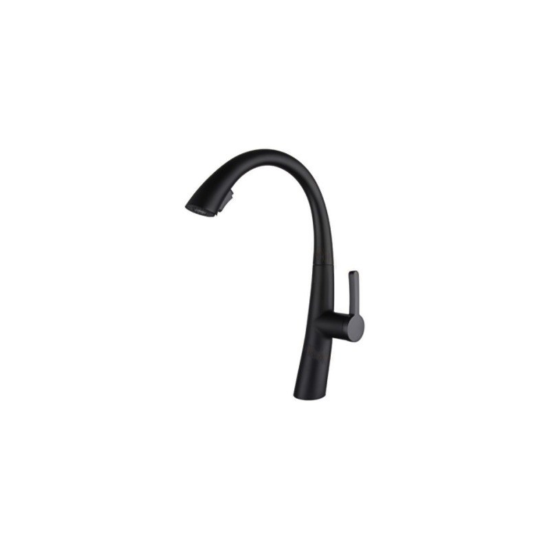 LT-10023-SS-TCCLSSCLRLT kitchen faucet, kitchen mixer tap, sink faucet