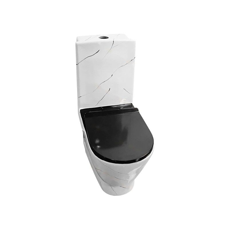 LT-1013-CS-K1 white one-piece-toilets