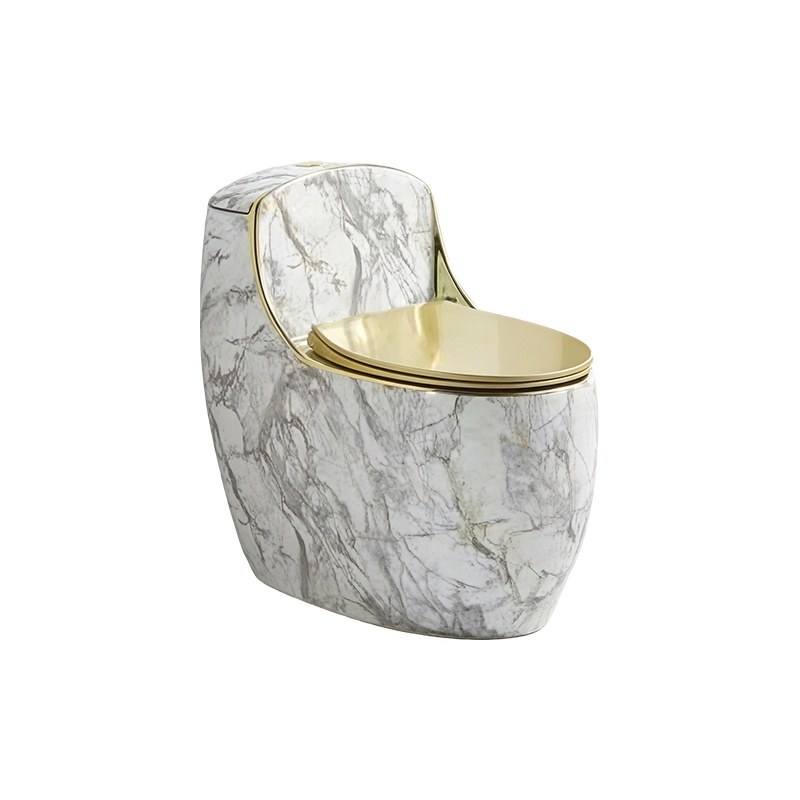 LT-1293-DP-WG patterned one-piece-toilets