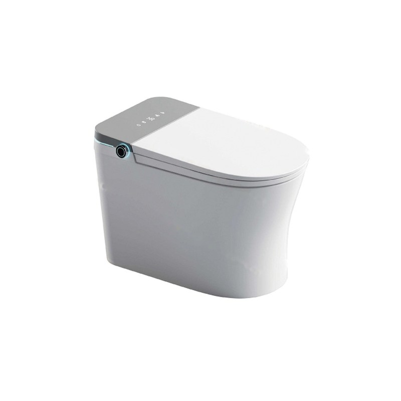 LT-TO-1065-B-GR patterned smart-toilets