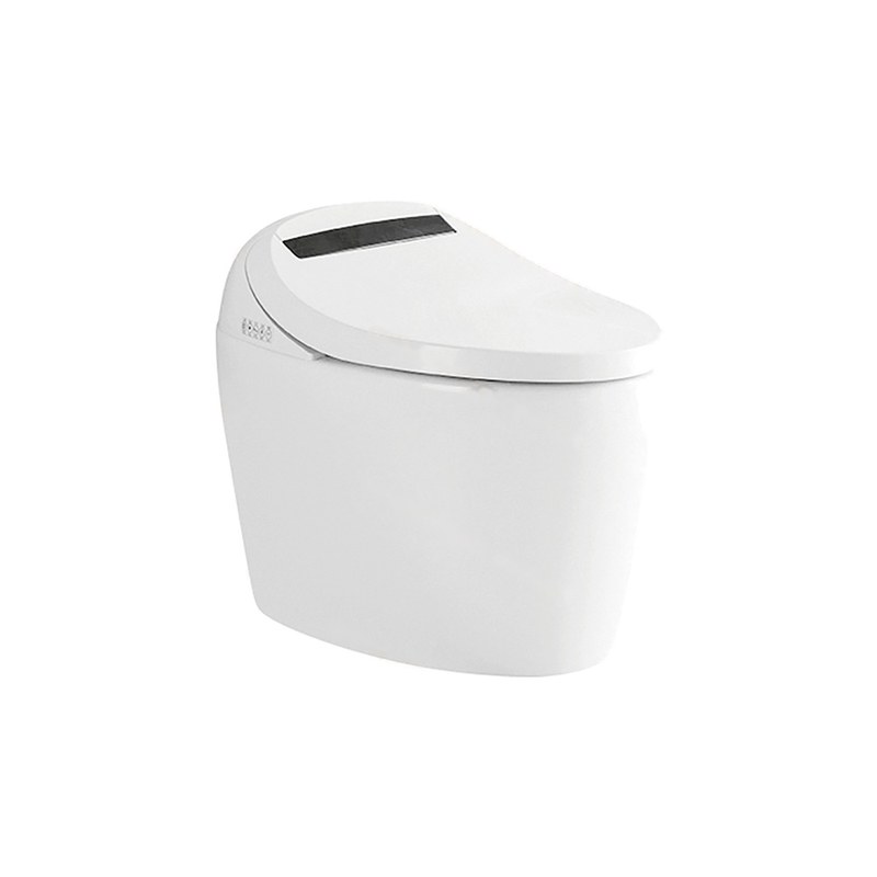 LT-TO-1008-C white smart-toilets