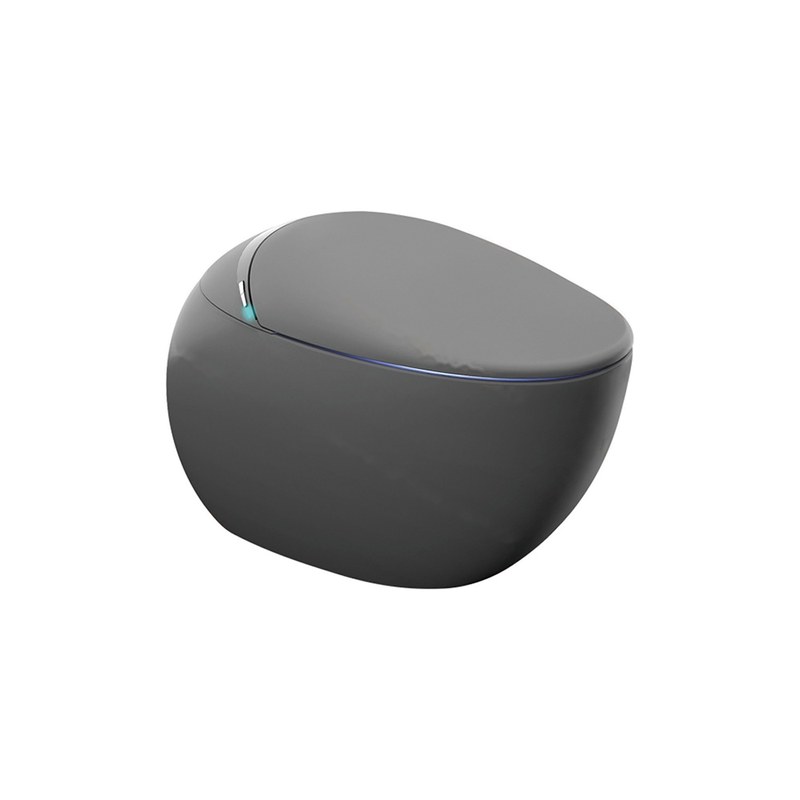 LT-TO-1035-WA-GR black smart-toilets