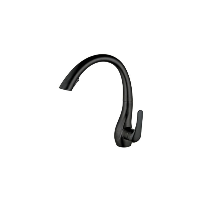 LT-10120-BRA-TCCLSSCLRLT kitchen faucet, kitchen mixer tap, sink faucet