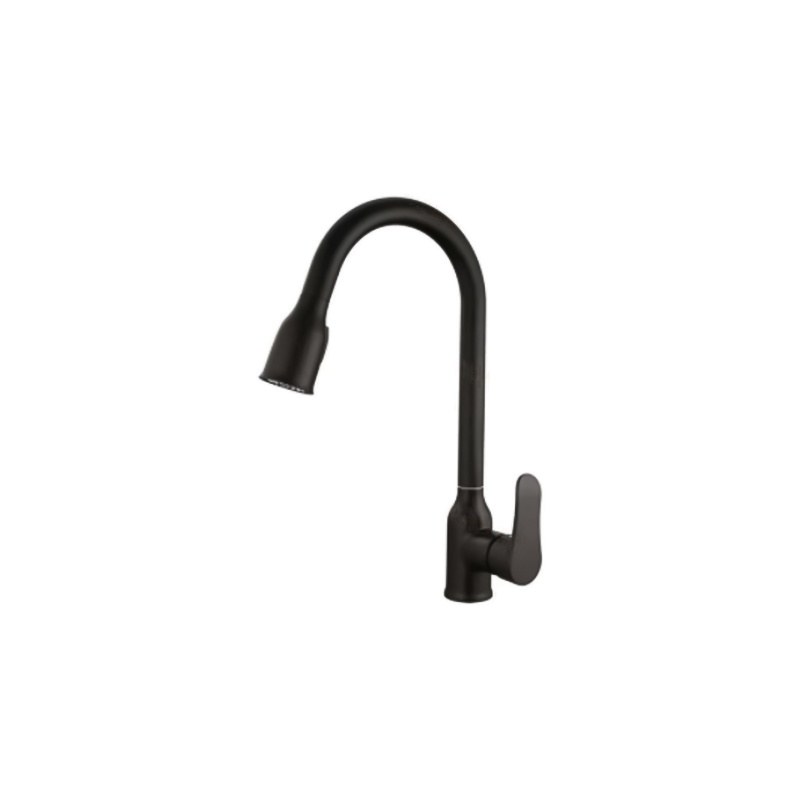 LT-10102-BRA-TCCLSSCLRLT kitchen faucet, kitchen mixer tap, sink faucet