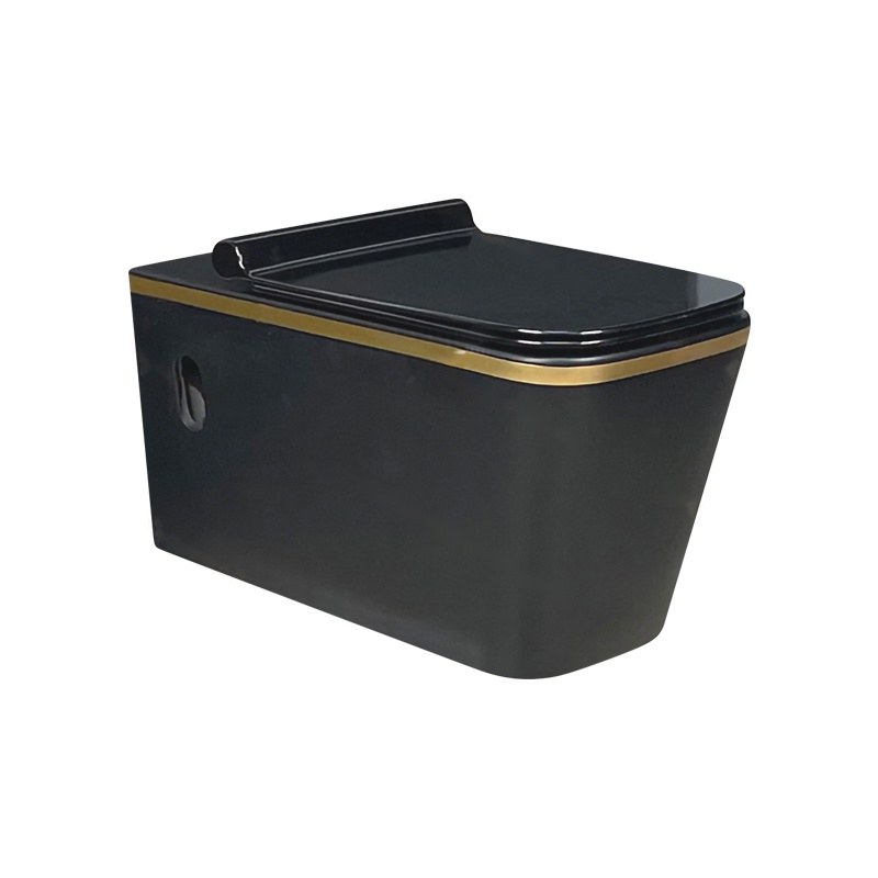 LT-403W-M-BLGL black wall-hung-toilets