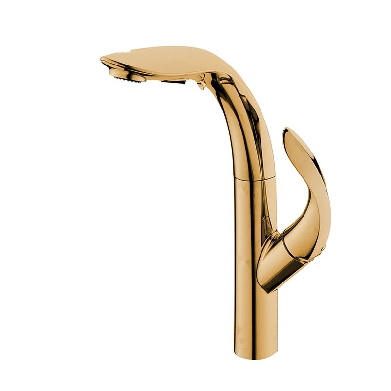 LT-10137-BRA-TCCLSSCLRLT kitchen faucet, kitchen mixer tap, sink faucet