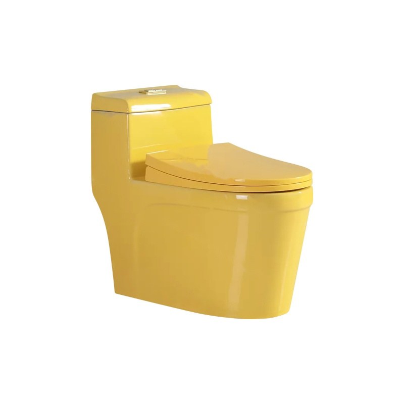 LT-1125-CG-Y-2 gold one-piece-toilets