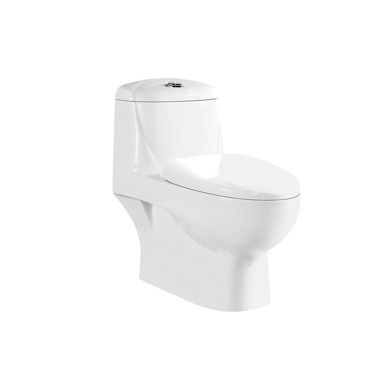 LT-1134 white one-piece-toilets