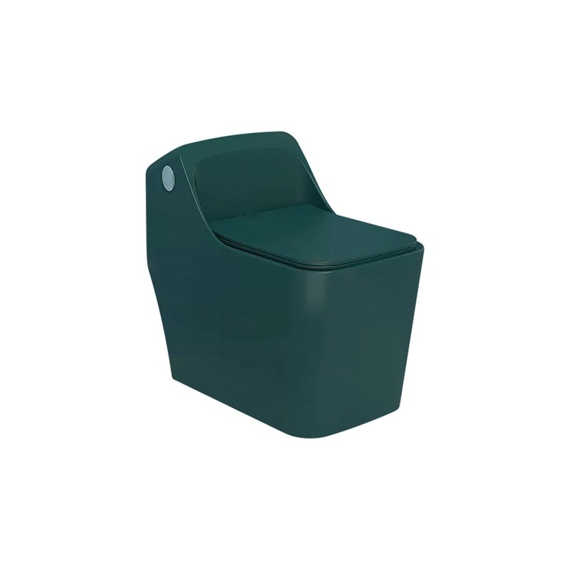 LT-1201-M-BG colored one-piece-toilets