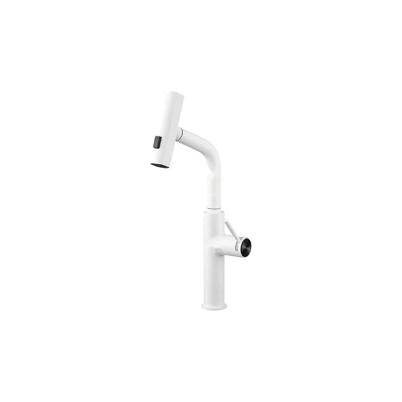 LT-10116-SS-TCCLSSCLRLT kitchen faucet, kitchen mixer tap, sink faucet