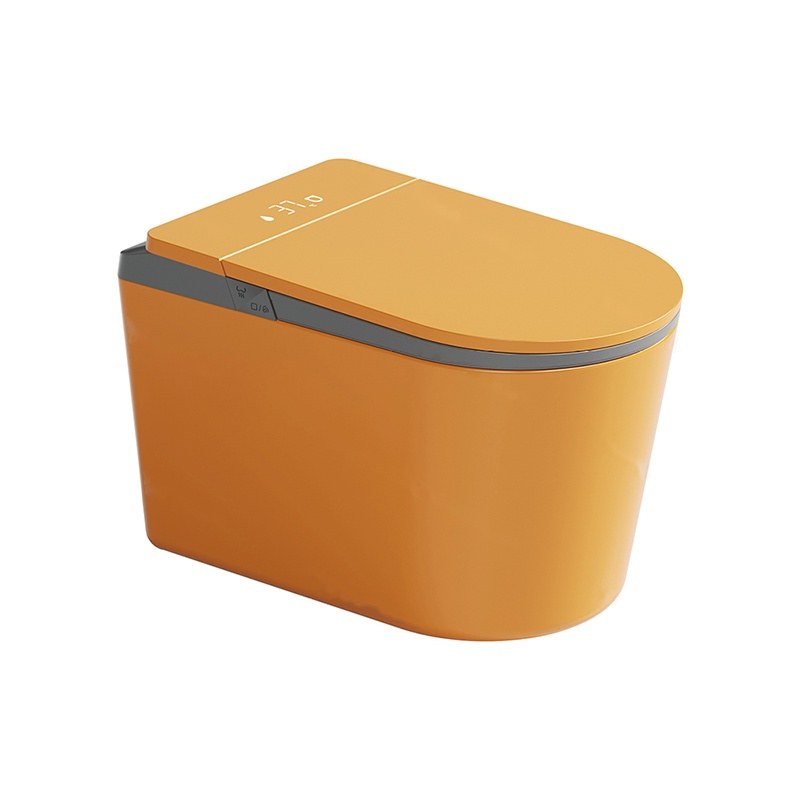 LT-TO-1136-WB-WO patterned smart-toilets