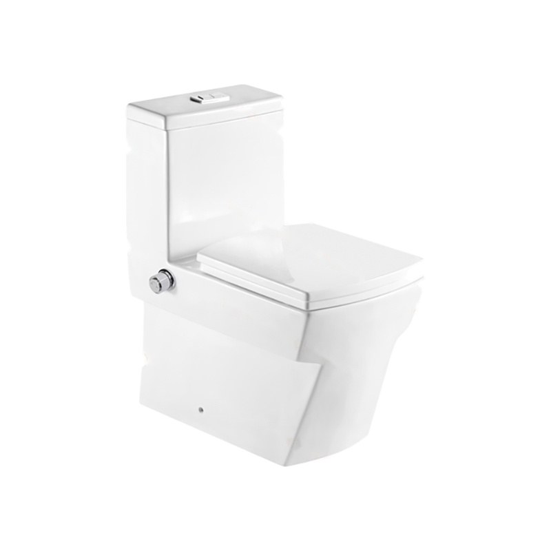 LT-1025-坐浴盆 white one-piece-toilets