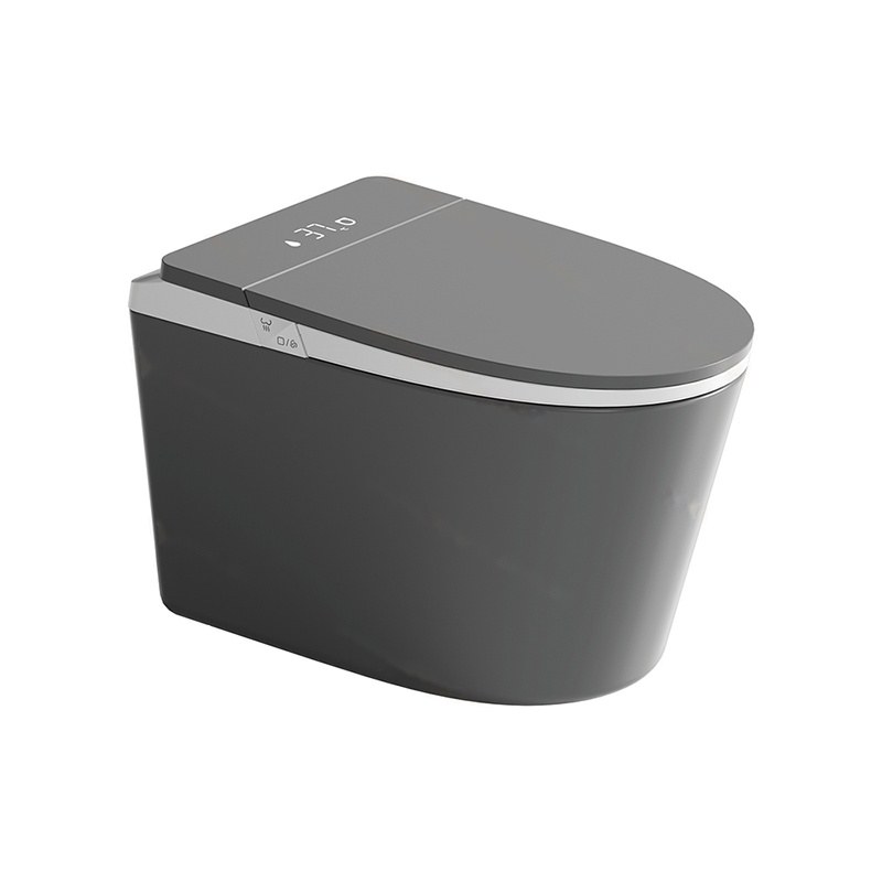 LT-TO-1137-WA-GW black smart-toilets