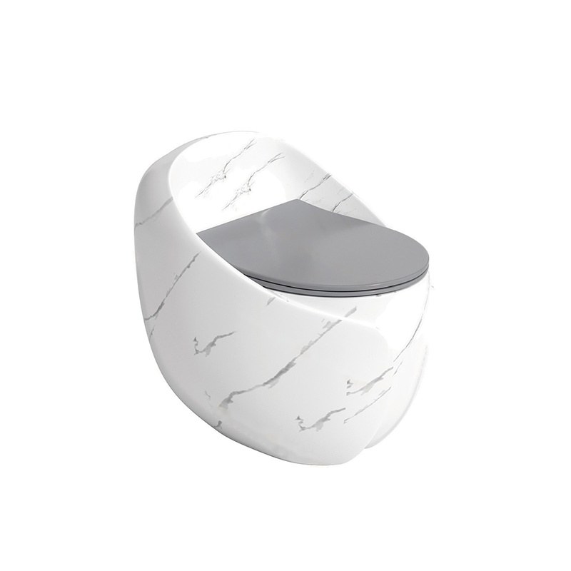 LT-1356-DP-WLG white one-piece-toilets