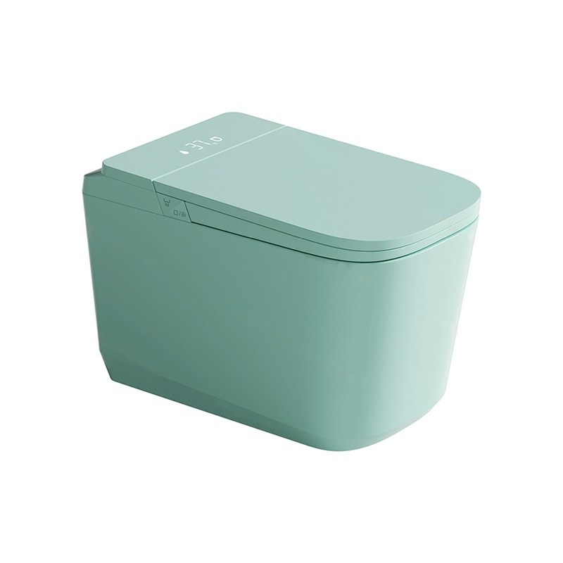 LT-TO-1135-WC-SFM colored smart-toilets