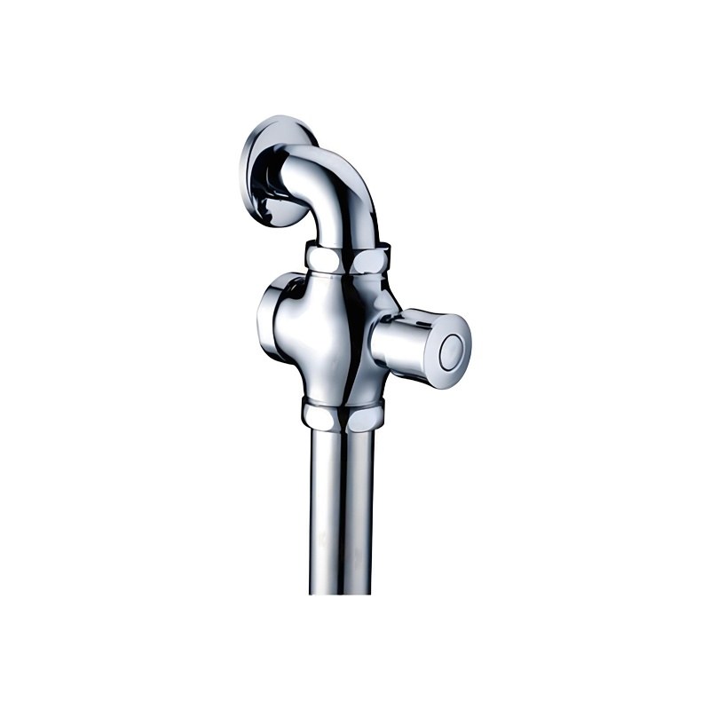 LT-10021-BRA-ASYCF white flush-valves