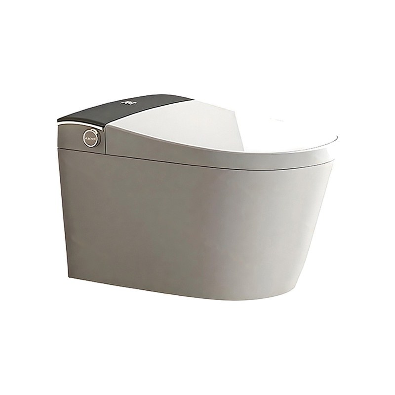 LT-TO-1111-B patterned smart-toilets