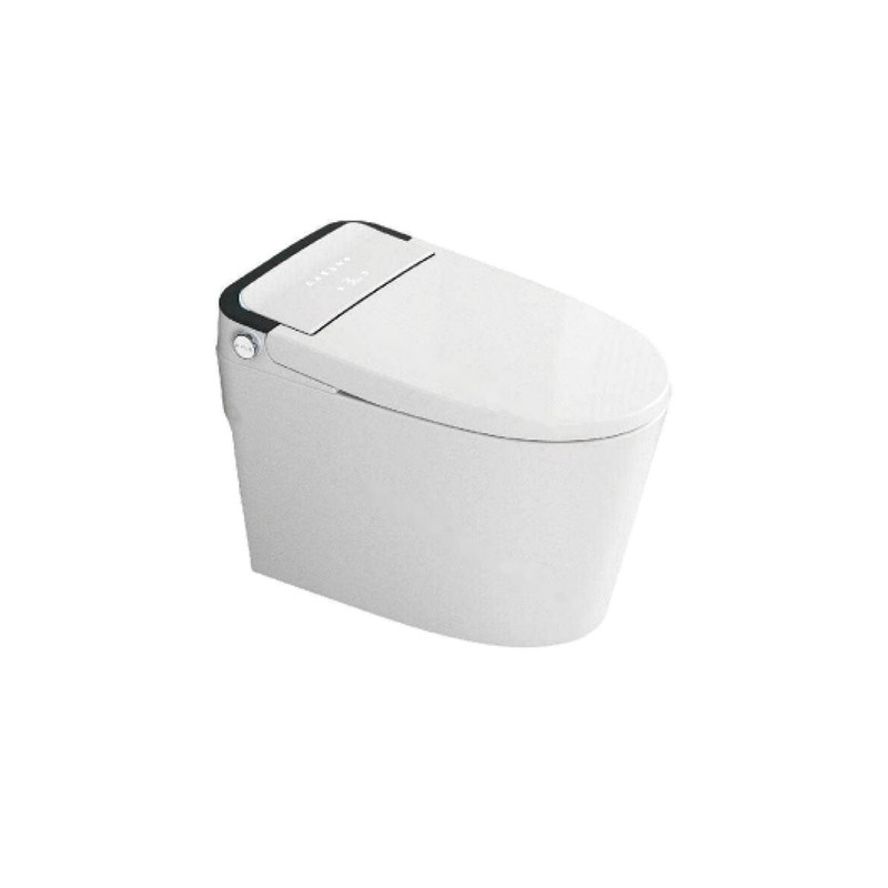 LT-TO-1024-WC-DG white smart-toilets