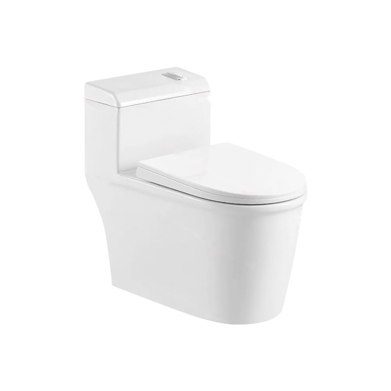 LT-1228 white one-piece-toilets