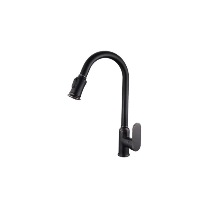 LT-10103-BRA-TCCLSSCLRLT kitchen faucet, kitchen mixer tap, sink faucet