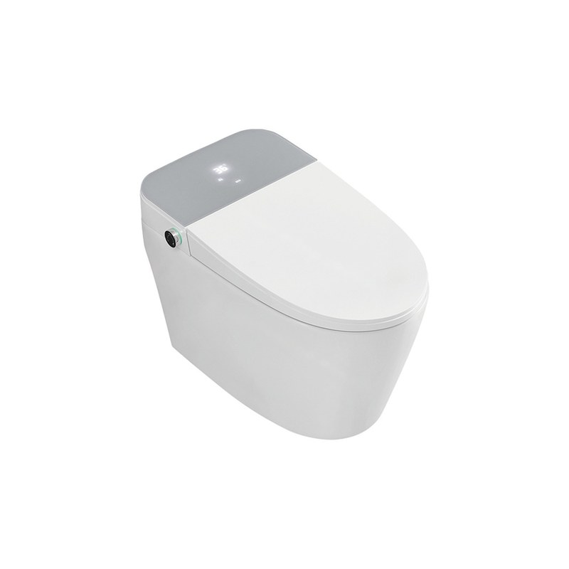 LT-TO-1019-C-LP white smart-toilets
