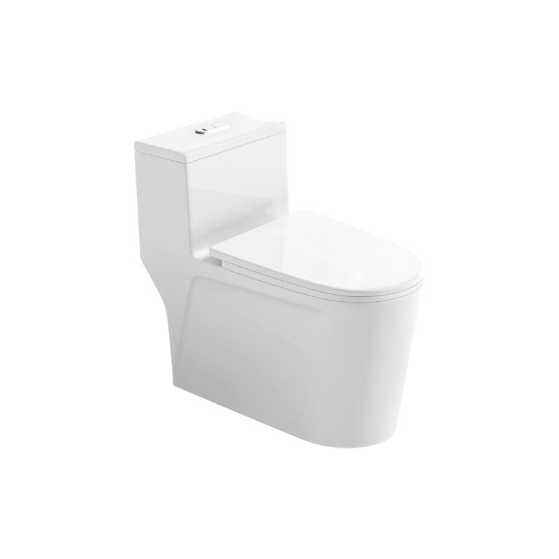 LT-1144 white one-piece-toilets