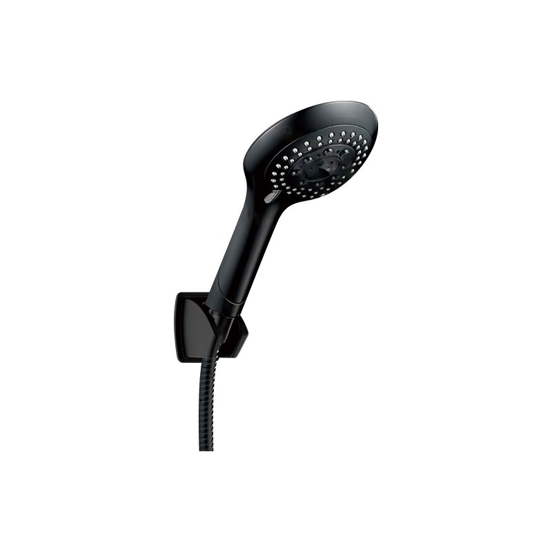 LT-10396-PLA-SP hand shower, hand held shower head