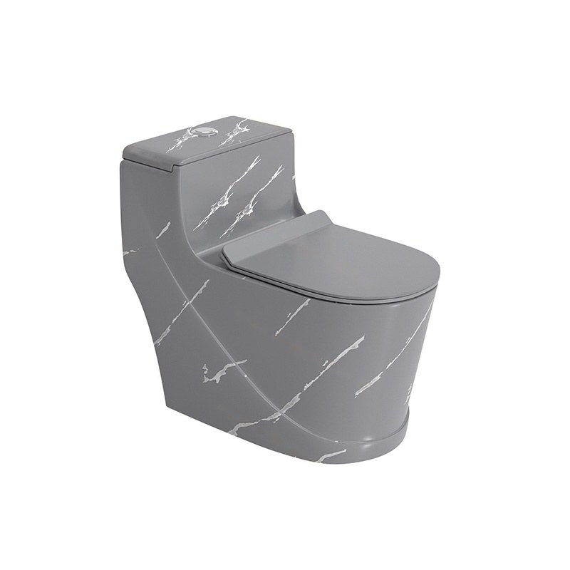 LT-1354-DP-LG grey one-piece-toilets