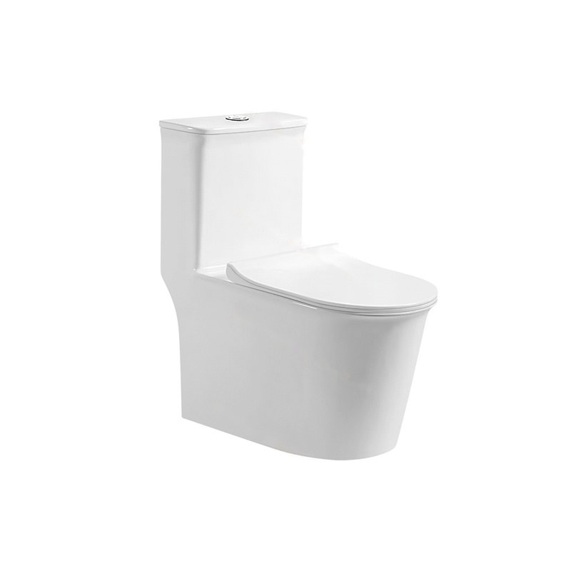 LT-1210 white one-piece-toilets