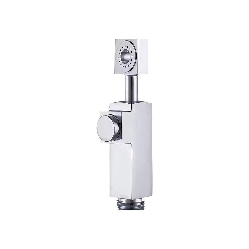 LT-12065-BRA-PQ bidet sprayer, handheld bidet, toilet spray gun