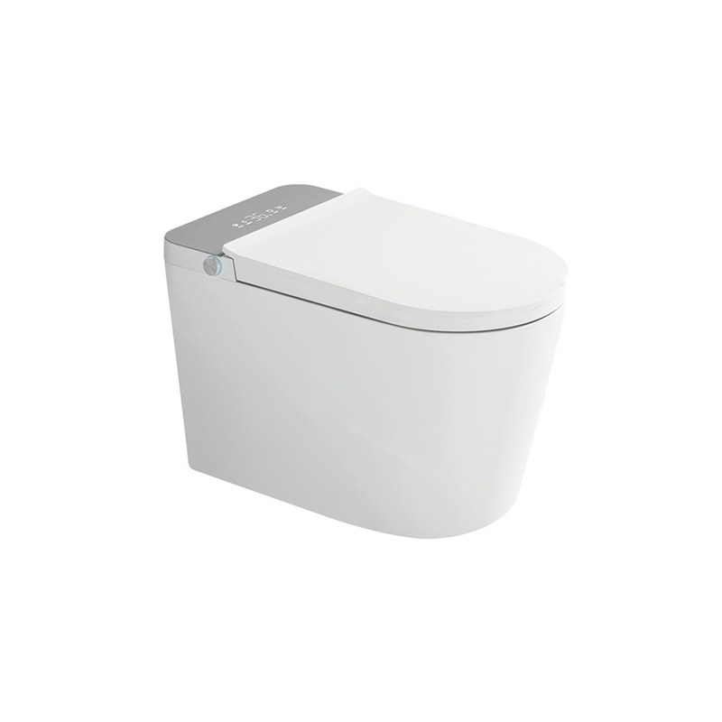 LT-TO-1092-D-WLG white smart-toilets
