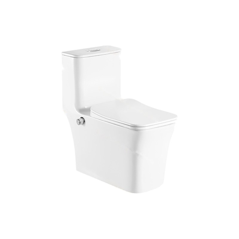LT-1111-坐浴盆 white one-piece-toilets