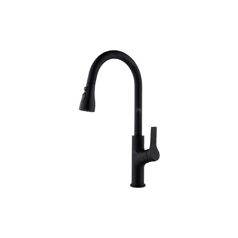 LT-10099-SS-TCCLSSCLRLT kitchen faucet, kitchen mixer tap, sink faucet