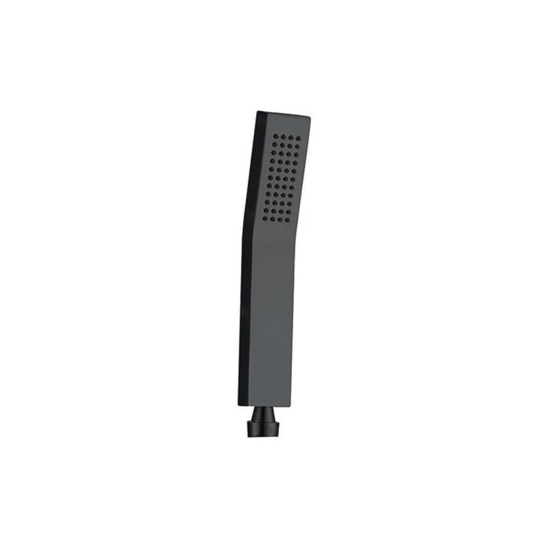 LT-10016-SS-SP hand shower, hand held shower head