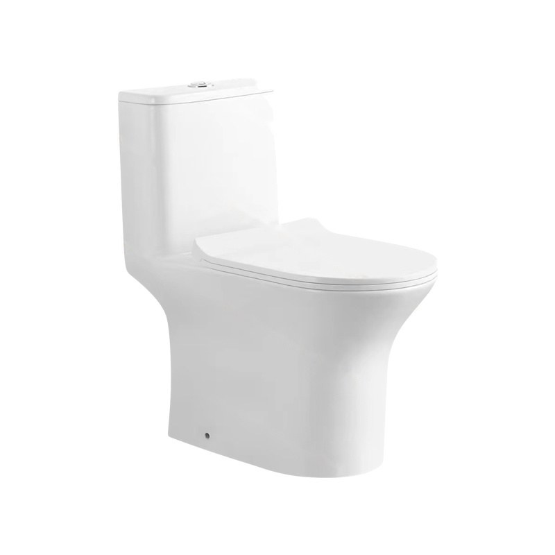 LT-1160 white one-piece-toilets