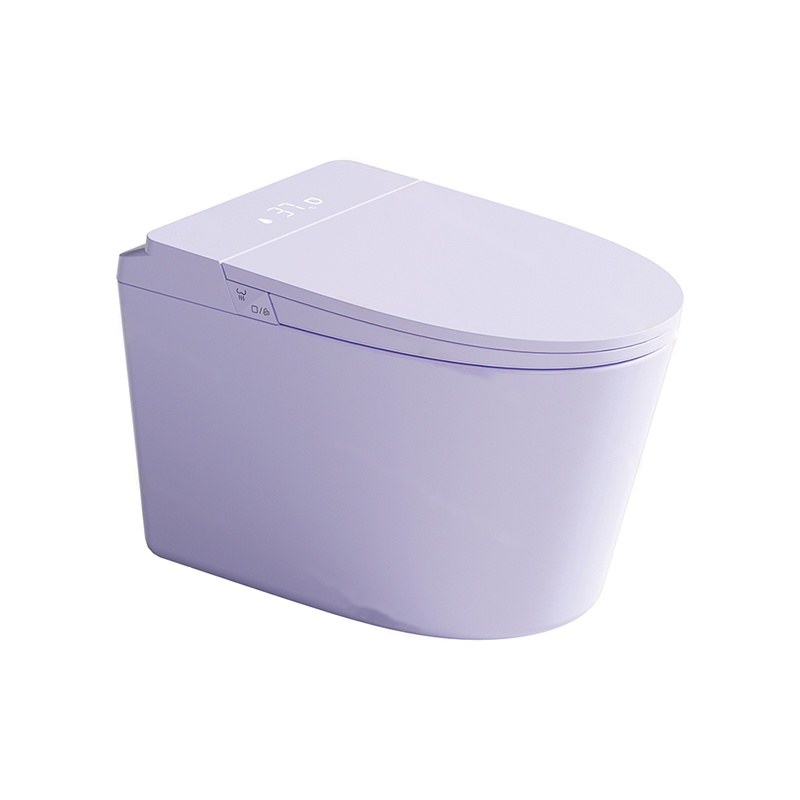 LT-TO-1137-WC-LAV patterned smart-toilets