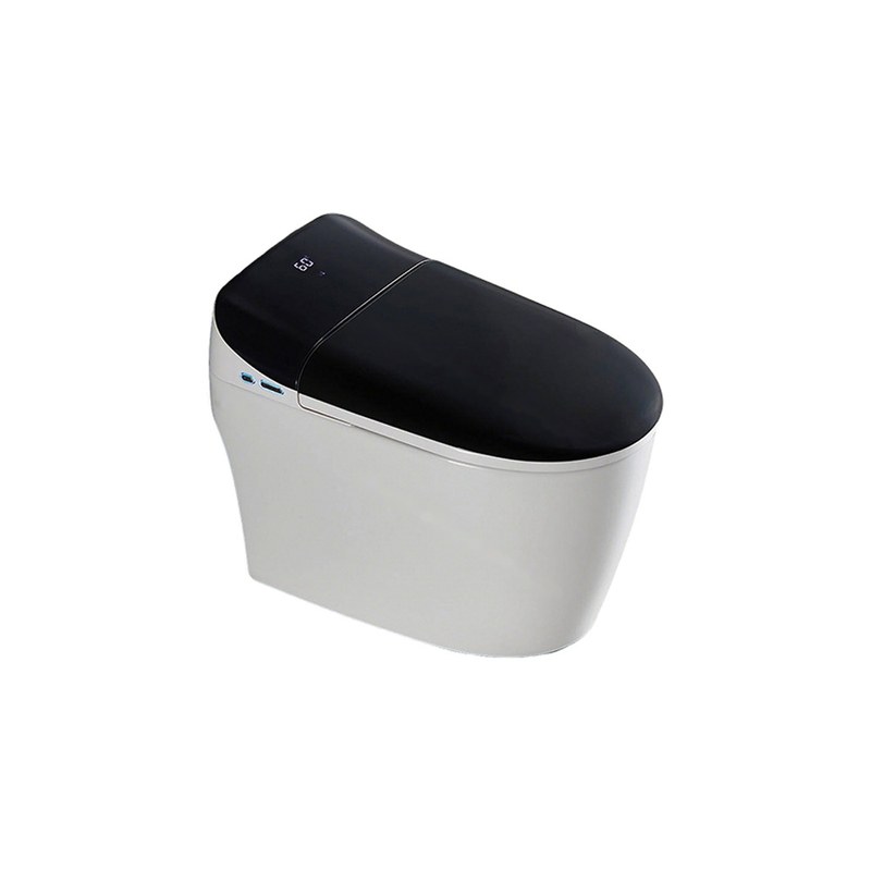 LT-TO-1002-C-WQB black smart-toilets