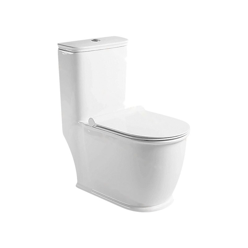 LT-1146 white one-piece-toilets