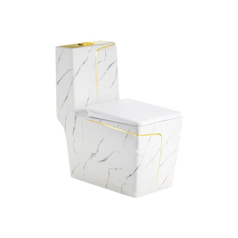 LT-1109-DP-WGL white one-piece-toilets