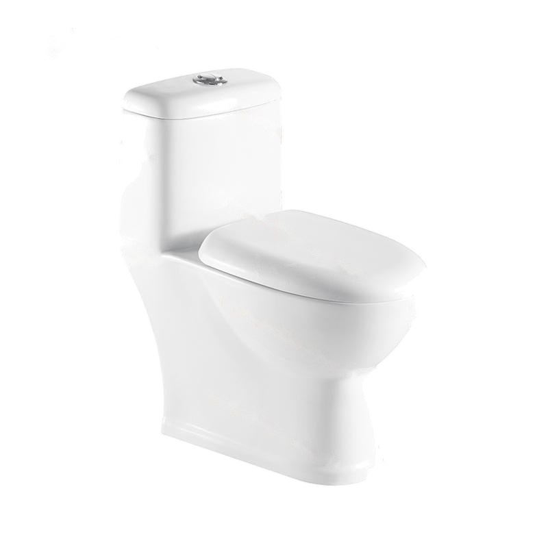 LT-1048 white one-piece-toilets