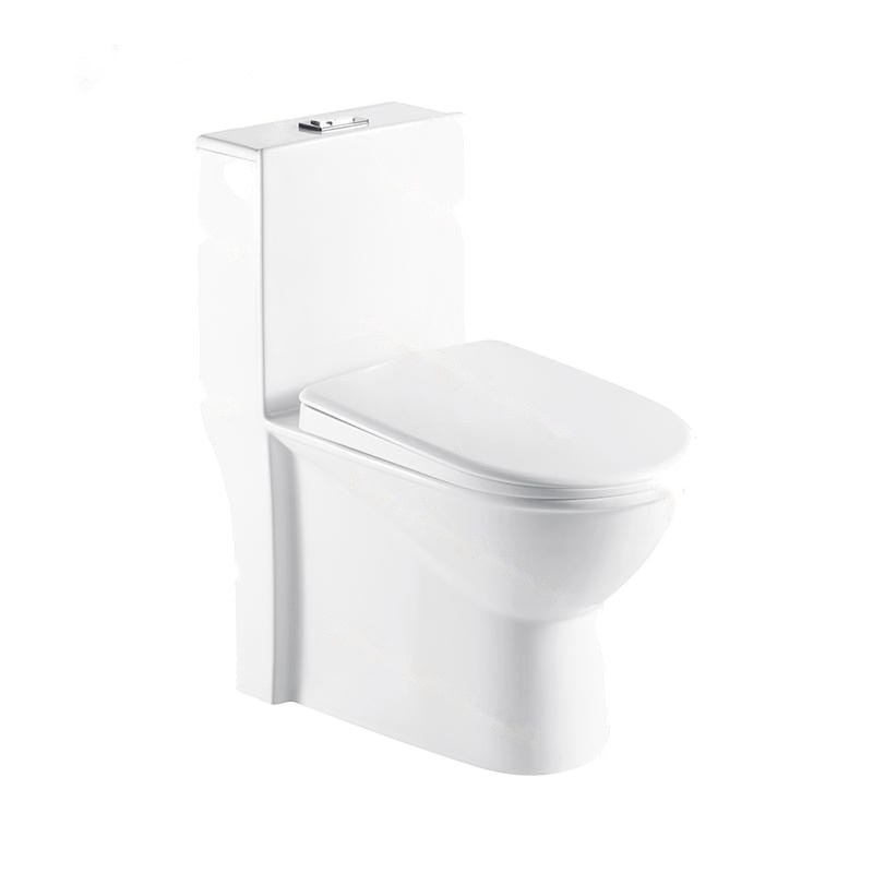 LT-1068 white one-piece-toilets
