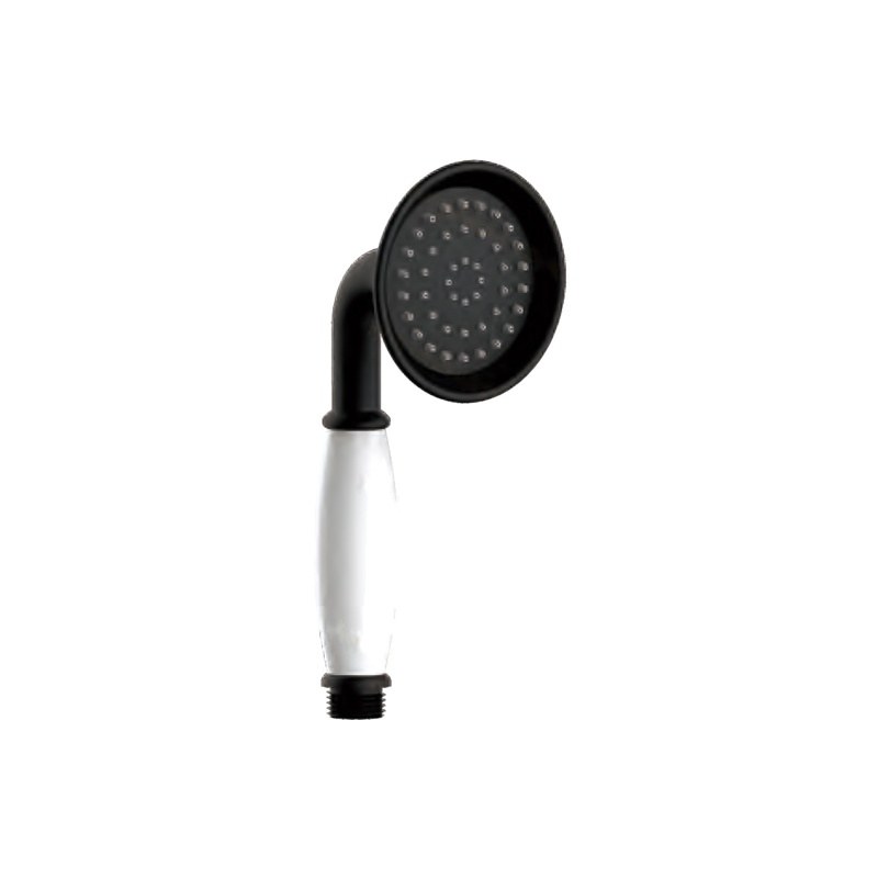 LT-10344-PLA-SP hand shower, hand held shower head