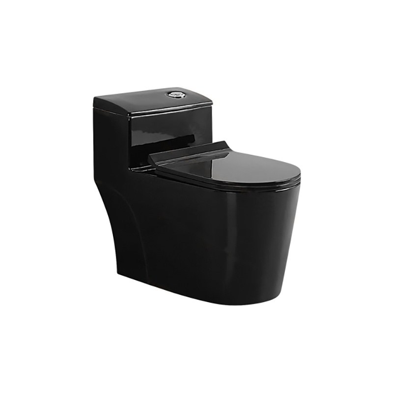 LT-1074-CG-BL black one-piece-toilets