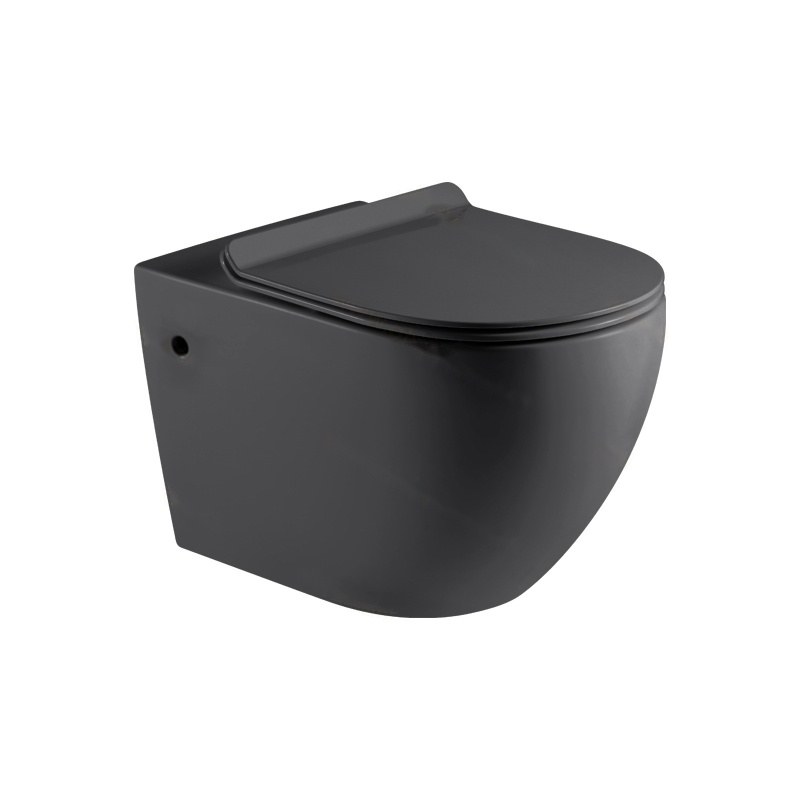 LT-401WA-M-DG black wall-hung-toilets