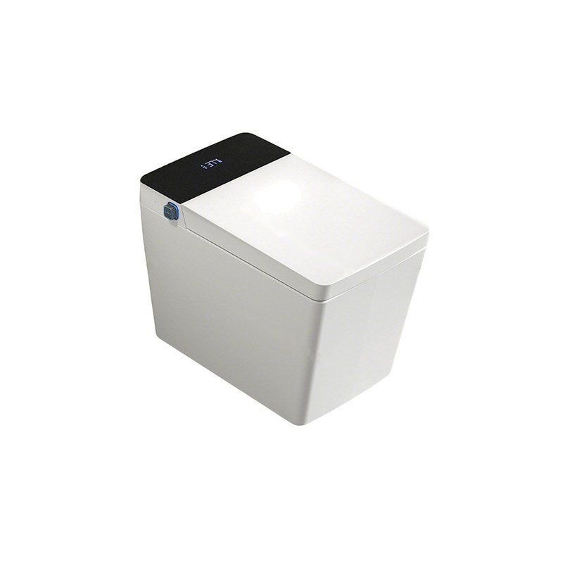 LT-TO-1047-WB-WBL patterned smart-toilets