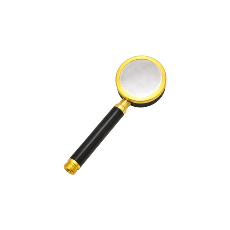 LT-10009-SS-SP hand shower, hand held shower head