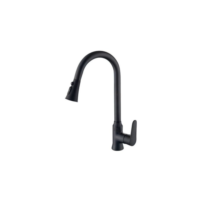 LT-10100-BRA-TCCLSSCLRLT kitchen faucet, kitchen mixer tap, sink faucet